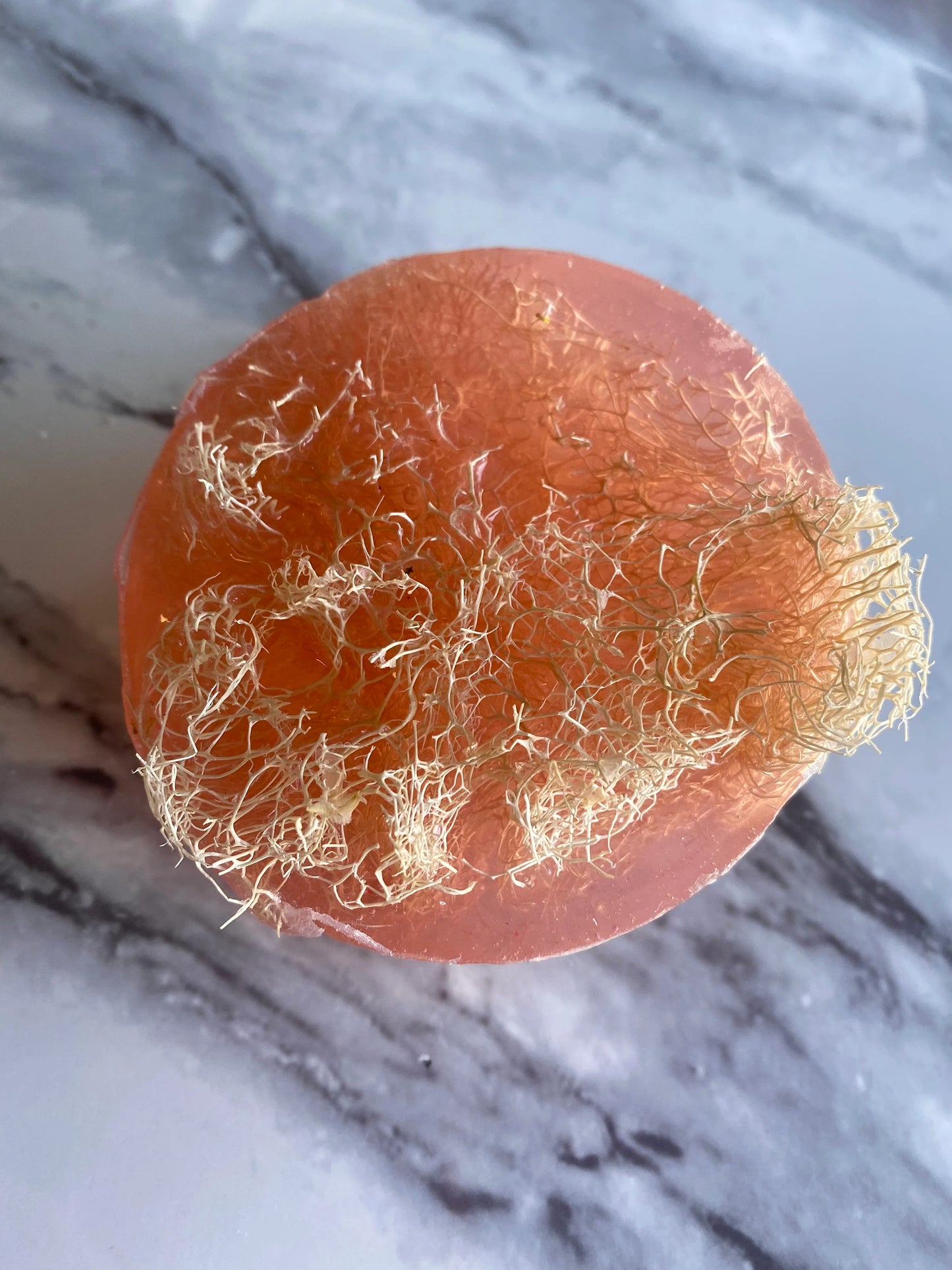Bellini Loofah