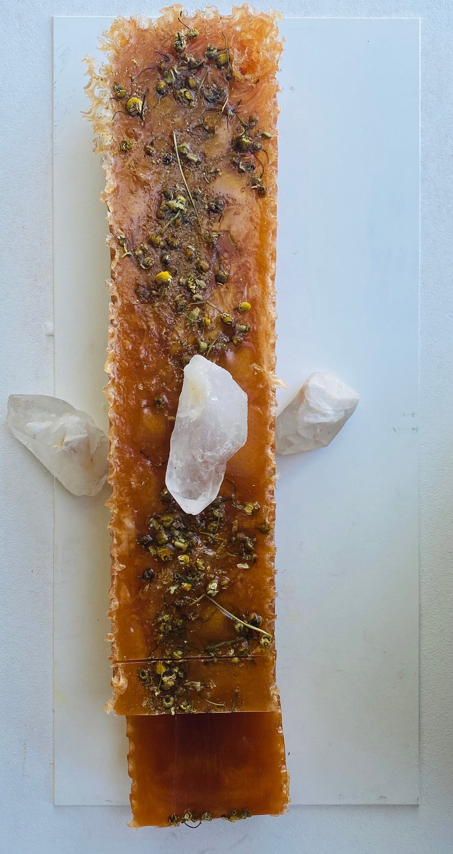 Honey Bee Love Soap Bar