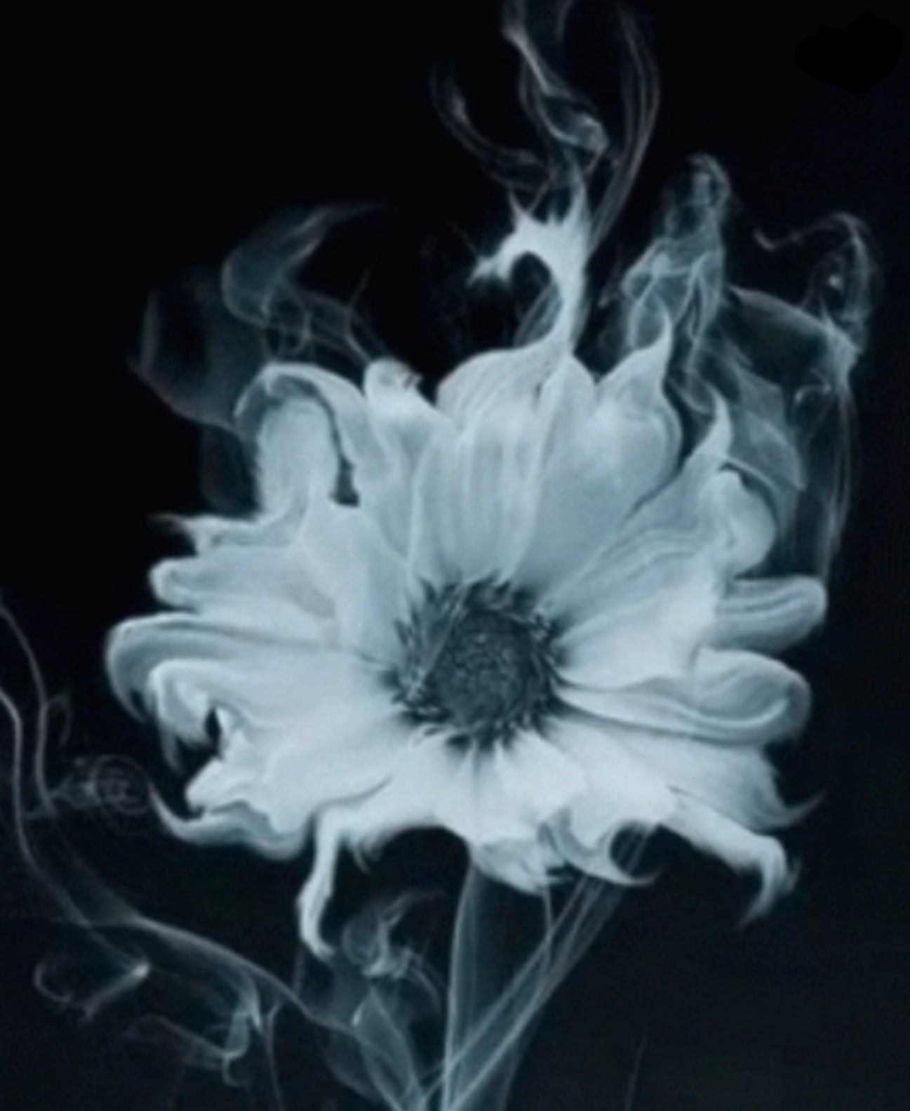 Smoke And White Flowers Soap